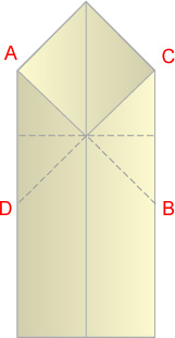 Step 6: Fold C to meet D (indicated ), crease hard and unfold. - Flying Fish Paper Airplane